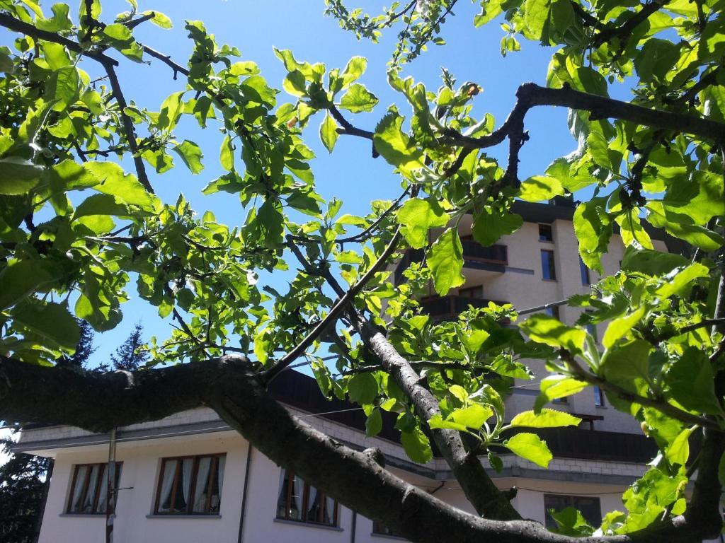 La Torretta Hotel Challand-Saint-Anselme Εξωτερικό φωτογραφία